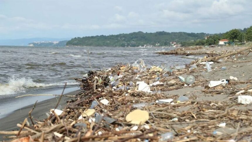 Romanya ve Ukrayna’dan gelen kimyasal atıklar Karadeniz ve Marmara’yı etkiliyor