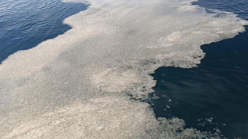 Çanakkale Boğazı’nda müsilaj artmaya başladı